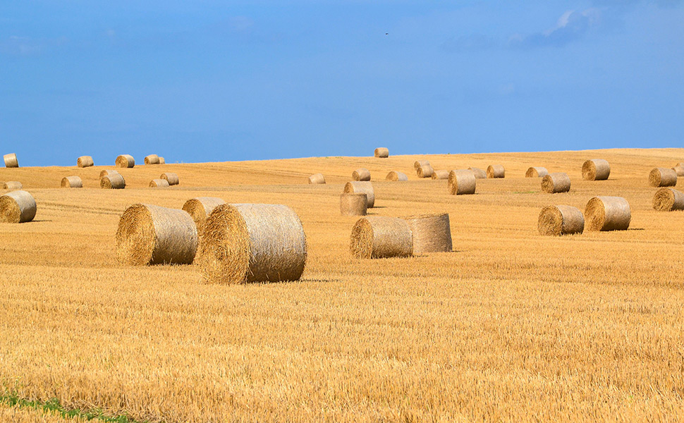 We're here to help you capitalise on development opportunities for land and buildings in the countryside.