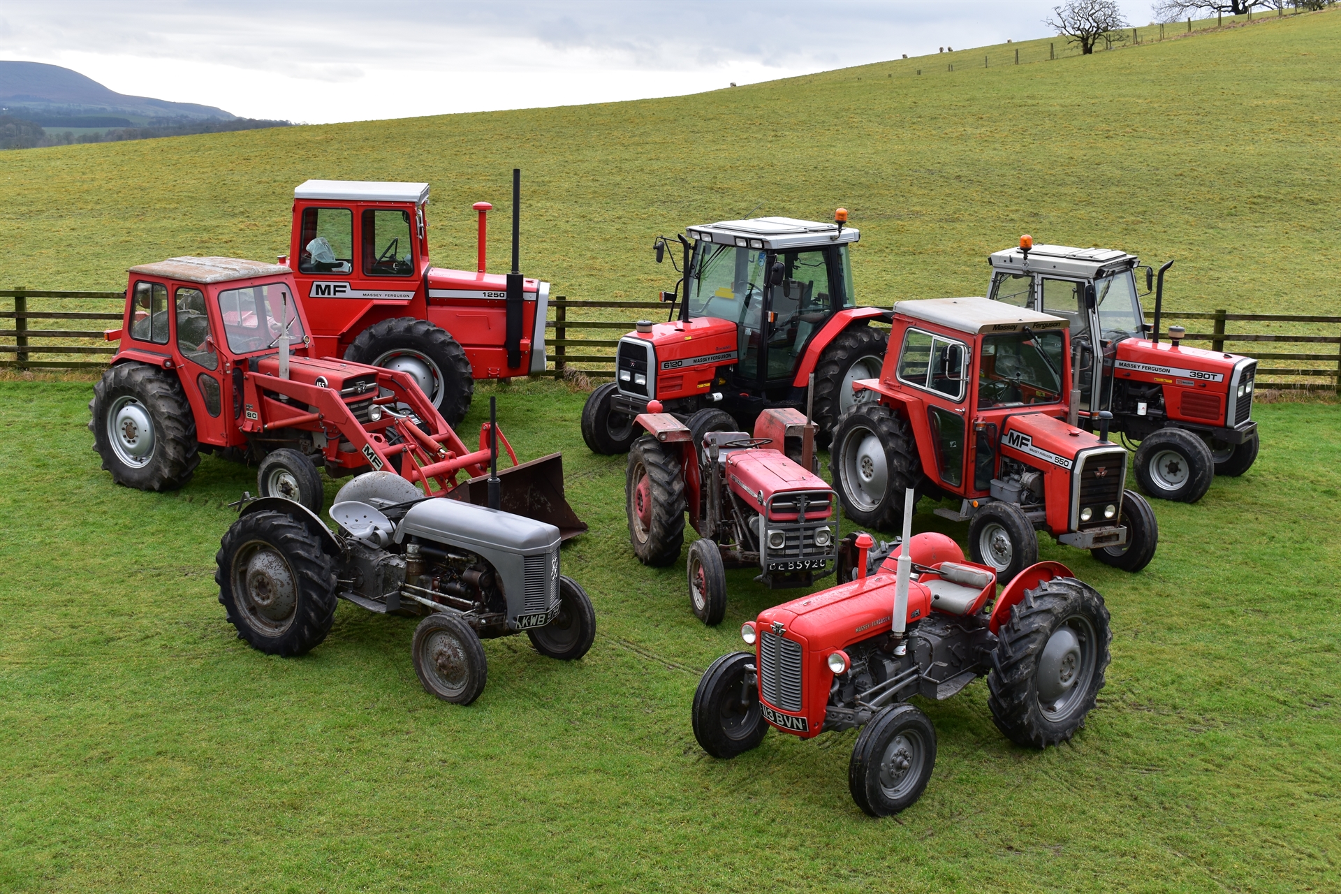 Epic Massey Ferguson collection sold in Skipton, Yorkshire